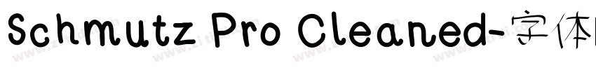 Schmutz Pro Cleaned字体转换